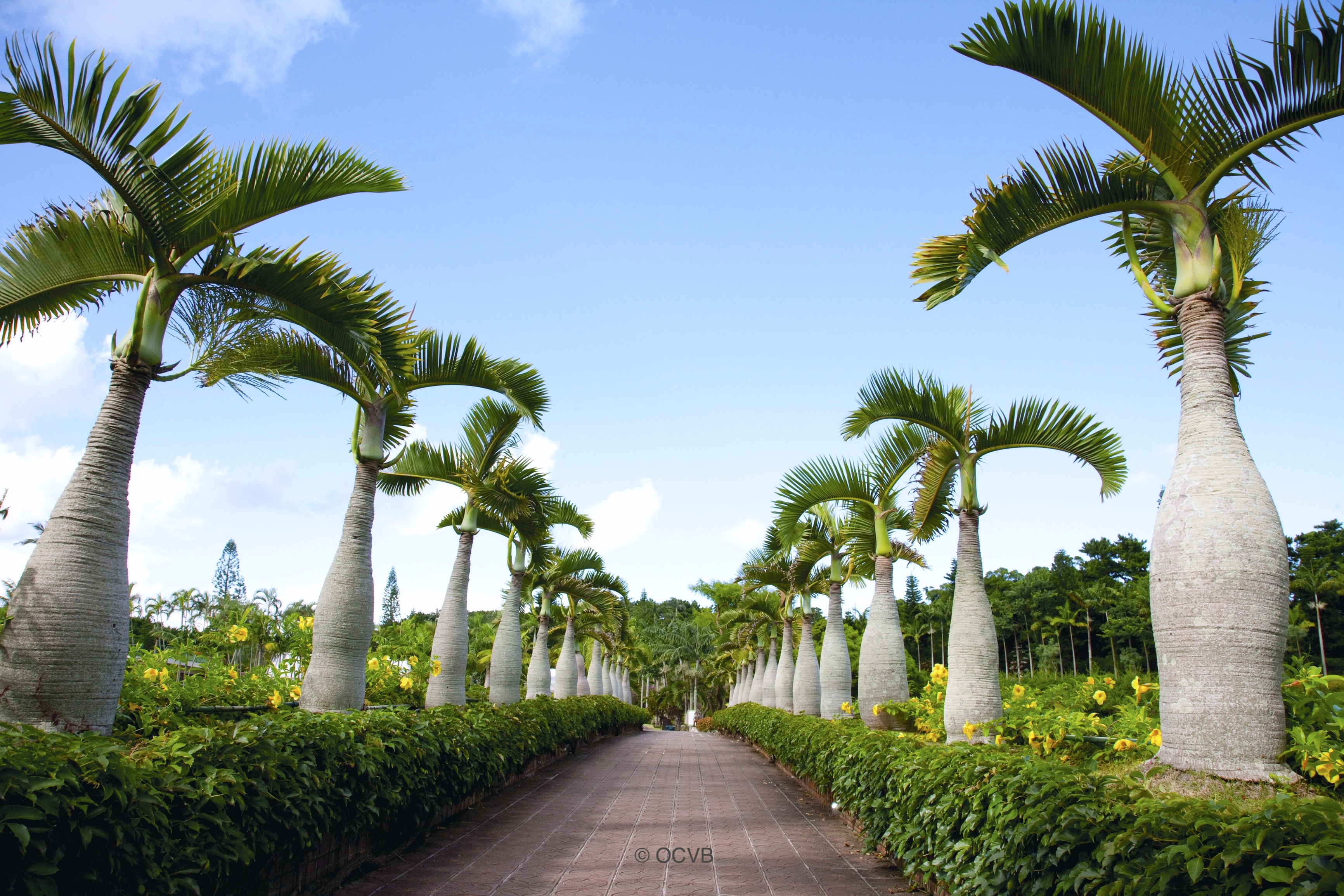東南植物樂園
